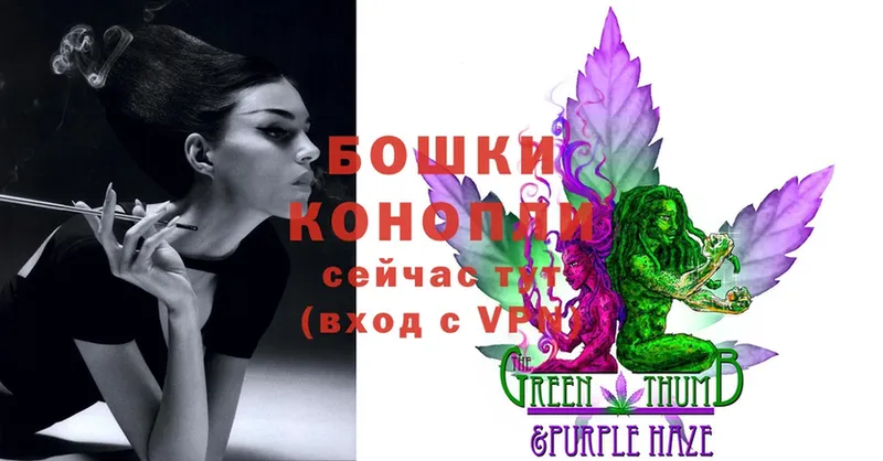 Канабис THC 21%  Волосово 